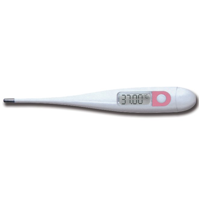 Termometru digital cu carcasa din plastic - 2 zecimale